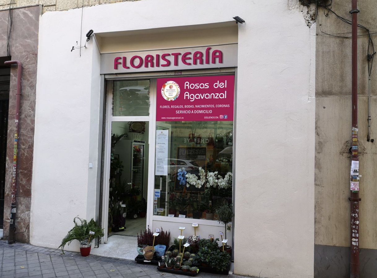 ROSAS DEL AGAVANZAL FLORISTAS